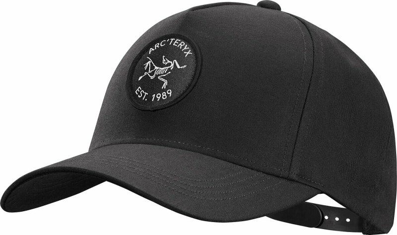 Кепка Arcteryx Flexit