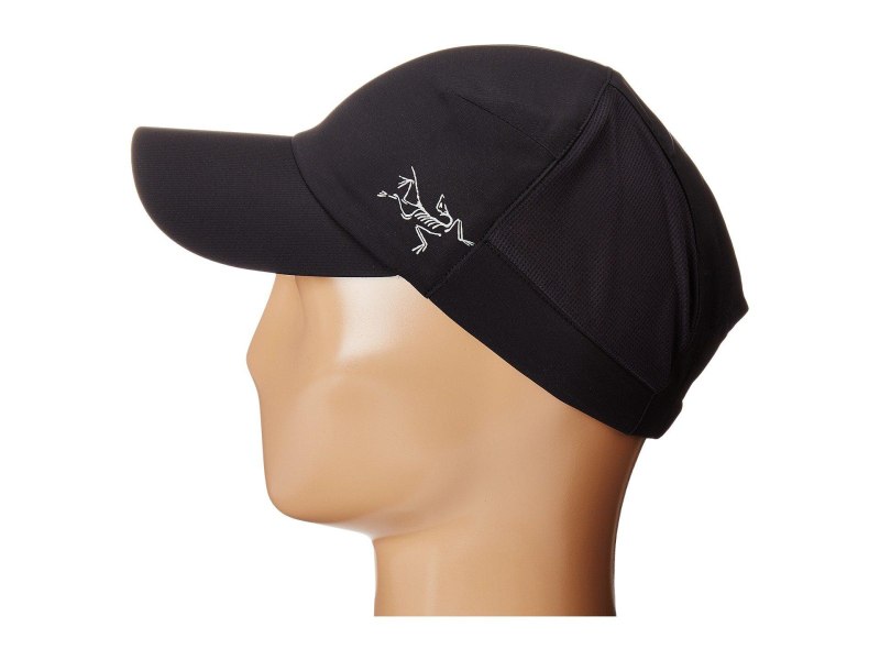 Arcteryx calvus