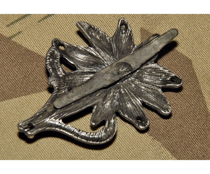 Эдельвейс знак горных Стрелков