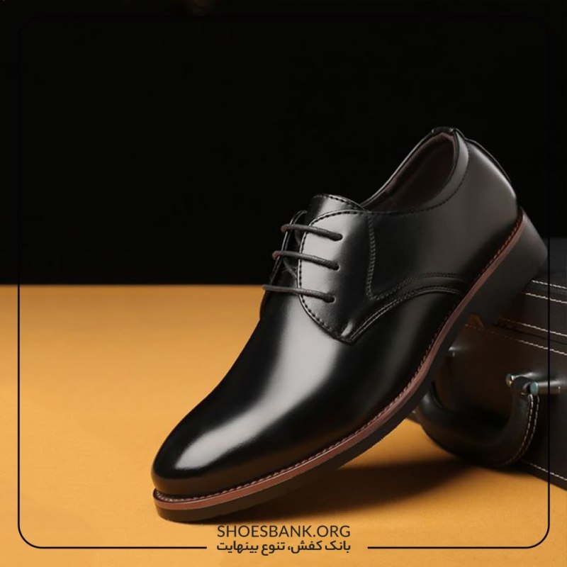 Туфли мужской Classic man Shoes