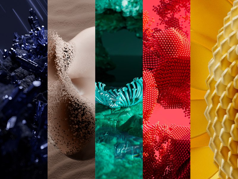 WGSN цвет