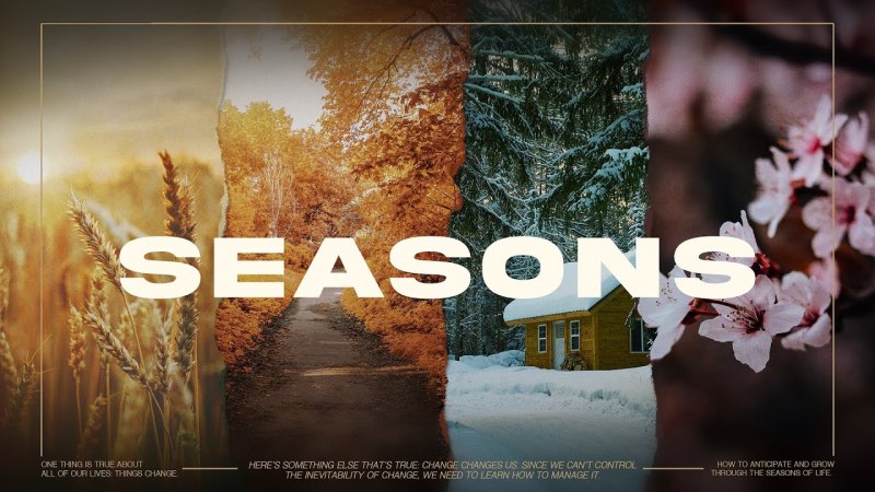 The Summer Season