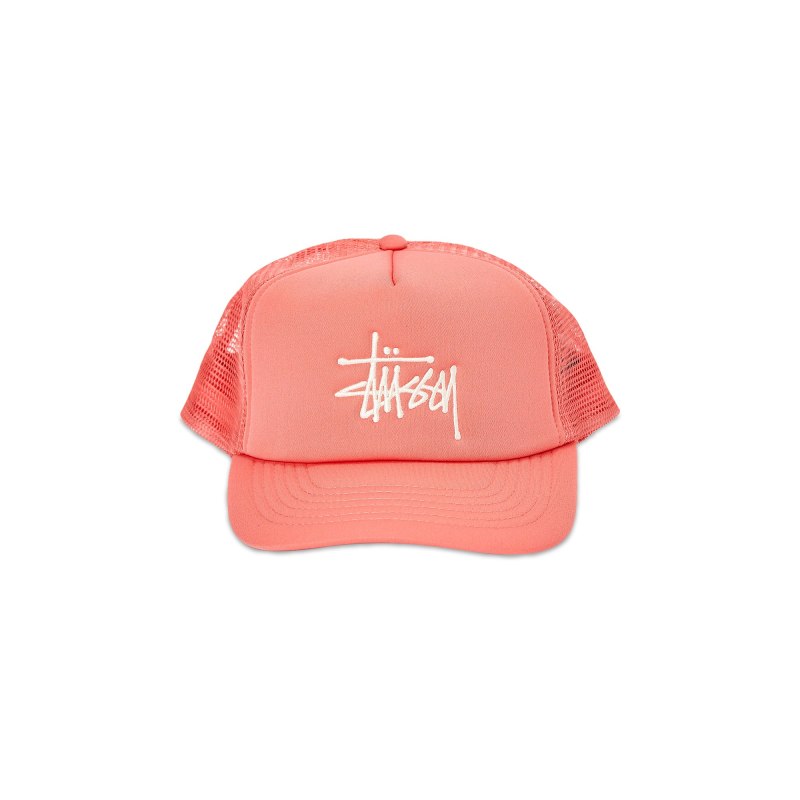 Кепка Stussy Paris