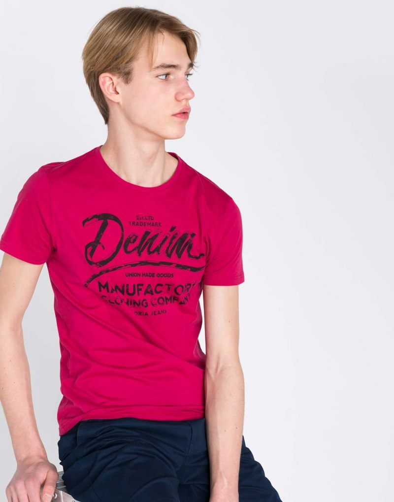 Футболка с принтом мужские Глория