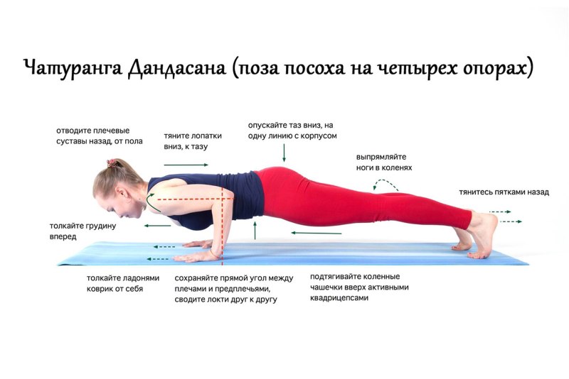 Чатуранга дандасана поза в йоге