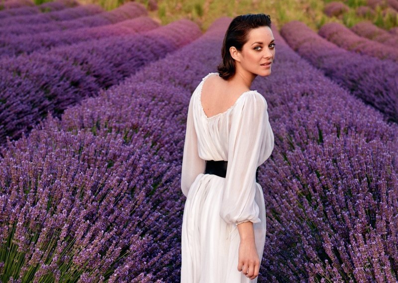 Лавандовый цвет