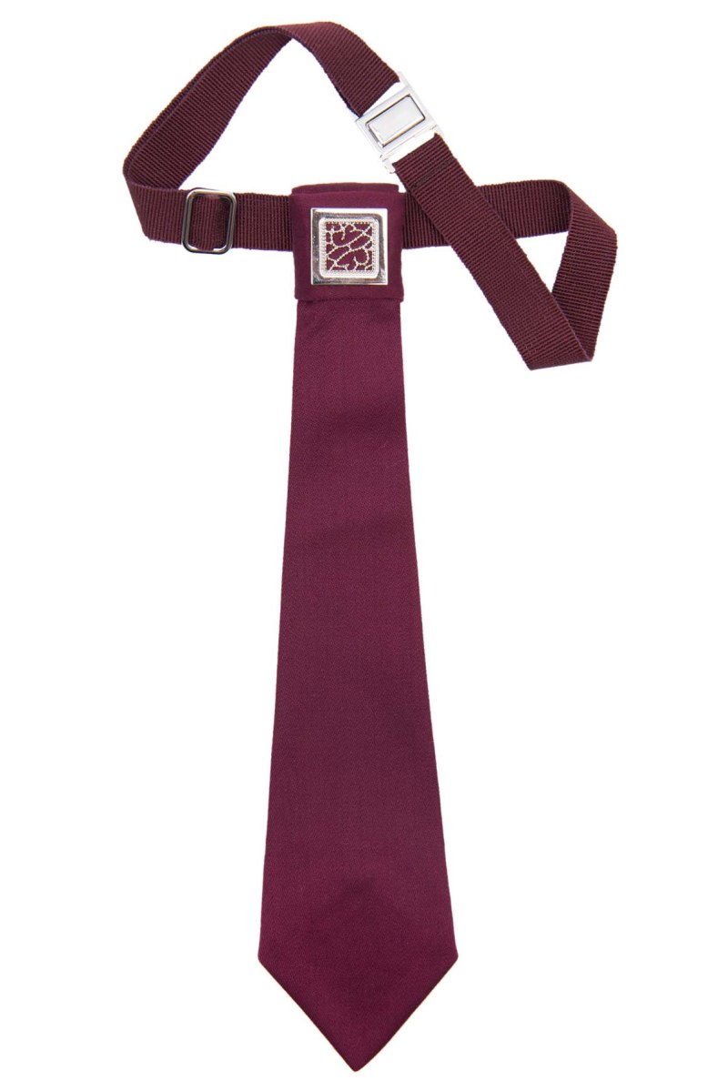 Судейский галстук WKF