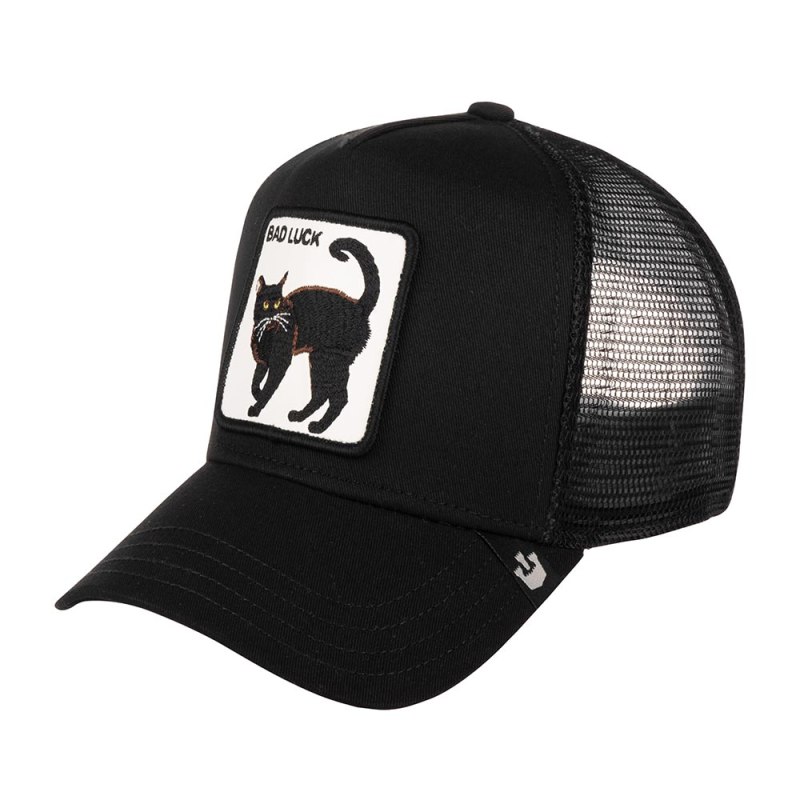 Goorin brothers Кепки Cat