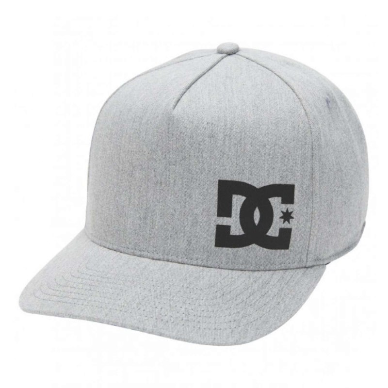 Бейсболка DC Shoes Omni logo decad