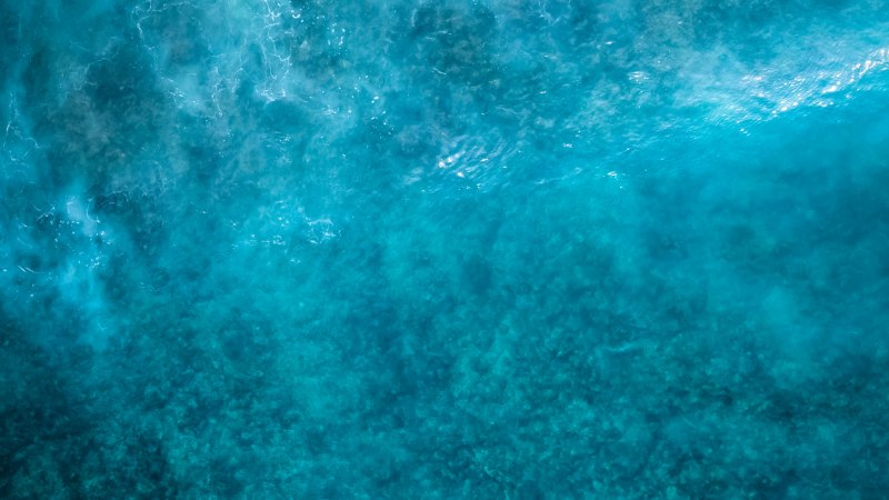 Эстетика океана под водой