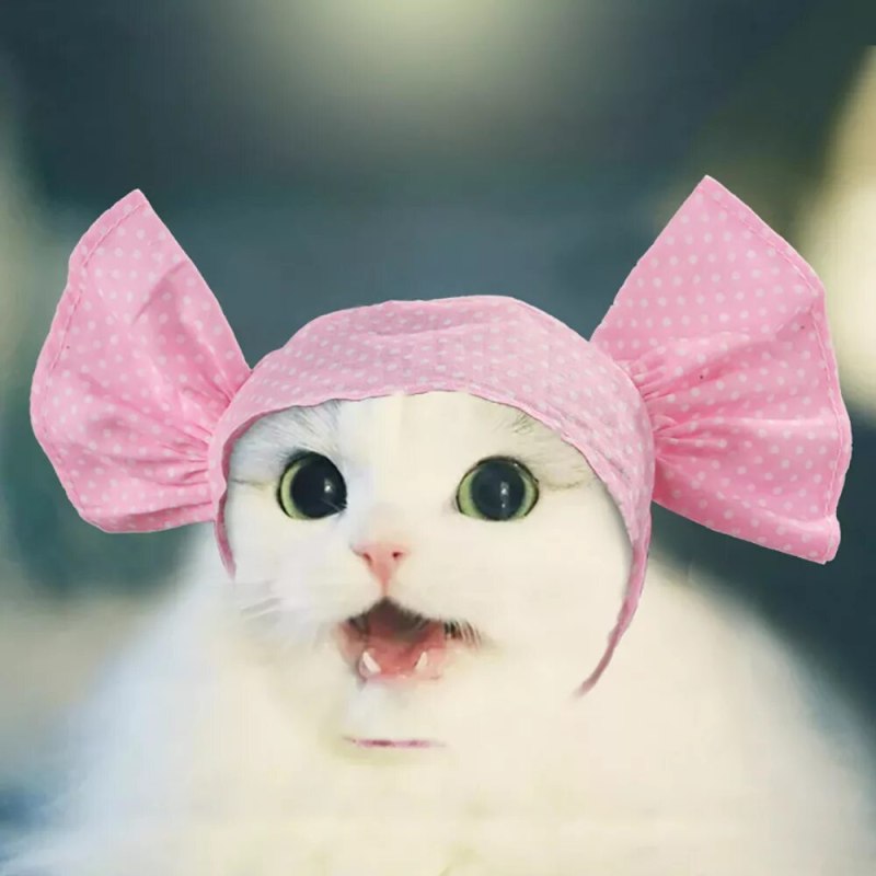Котенок с бантиком