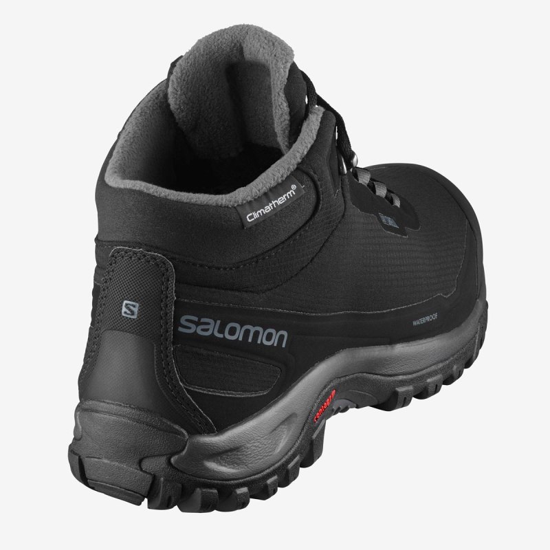 Ботинки Salomon Shelter CS wp