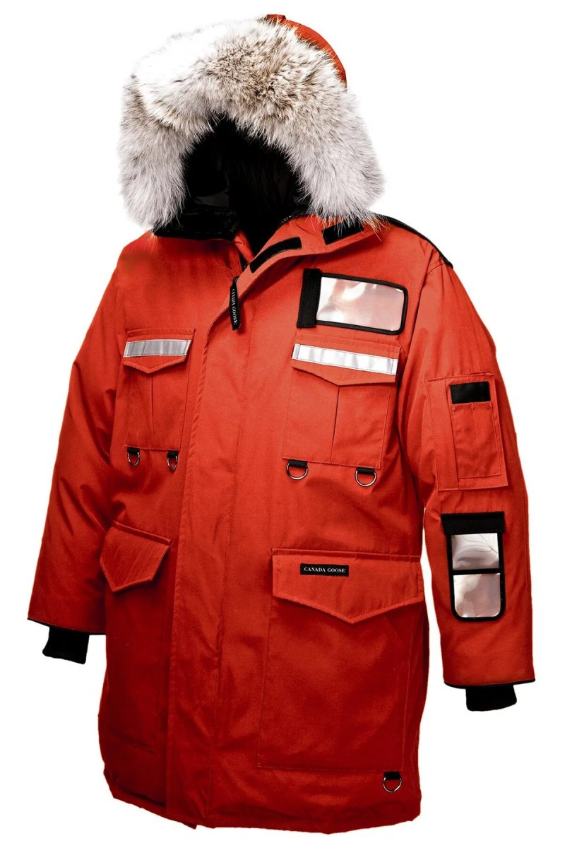 Аляска Canada Goose