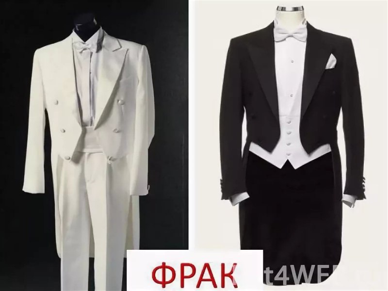 Фрак 19 в сзади