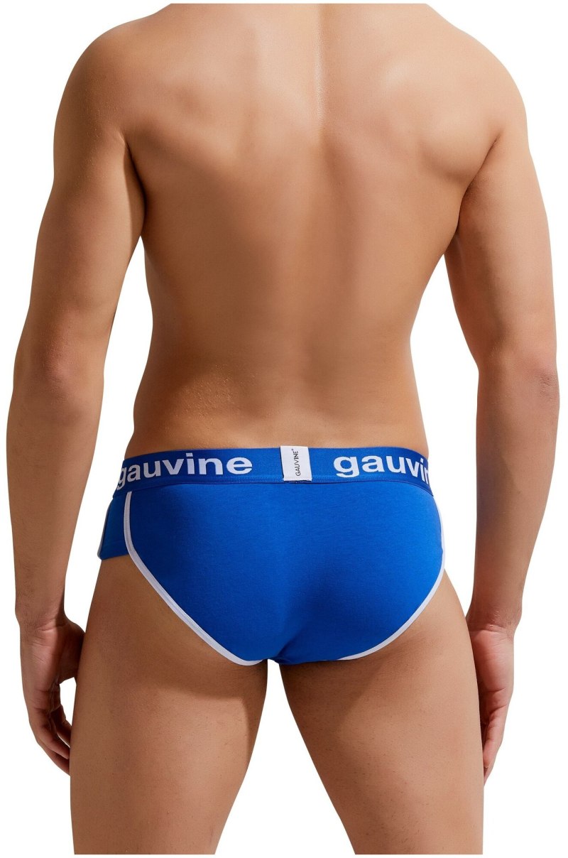 Трусы мужские gauvine 1007
