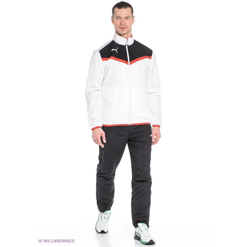 Спортивный костюм Puma 5566