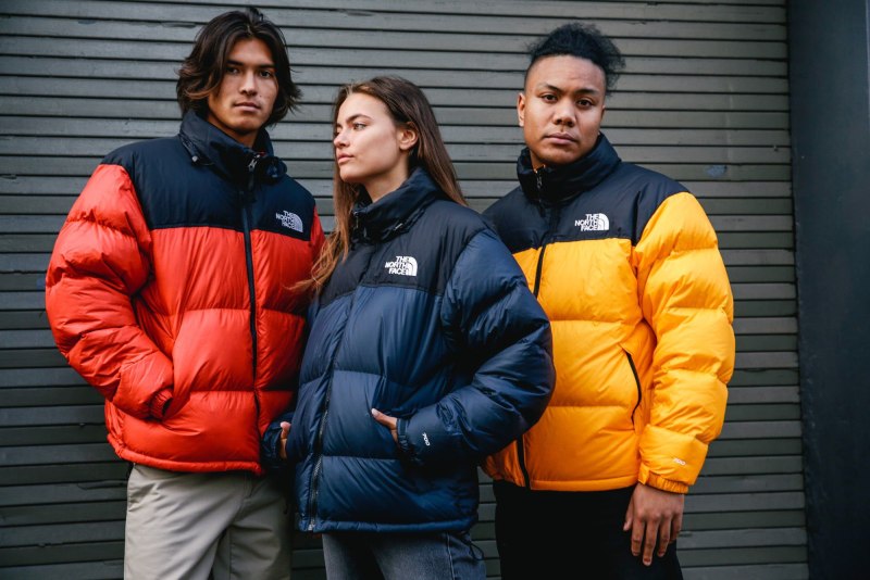 Модели курток the North face