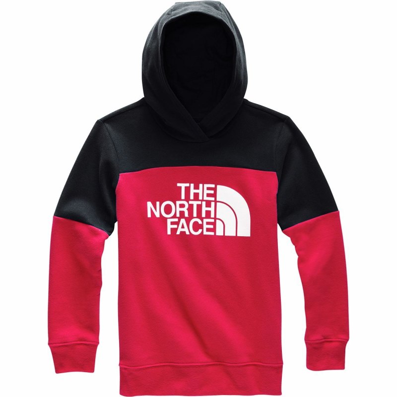 The North face худи big logo