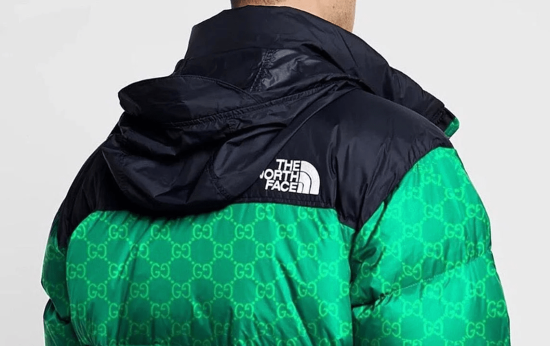 The North face гуччи пуховик
