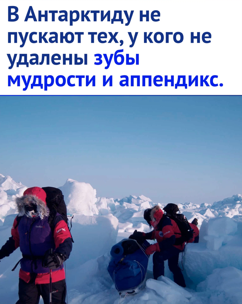 Полярники в Антарктиде