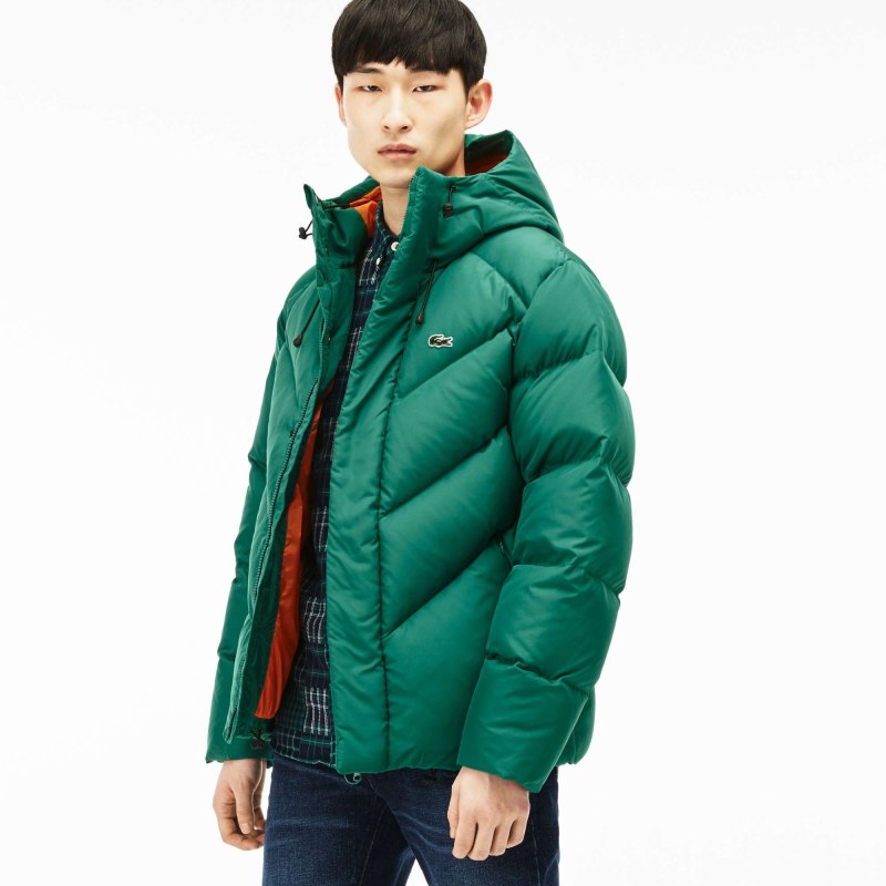 Lacoste down Jacket