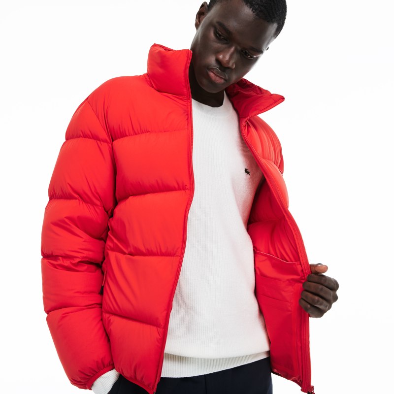 Lacoste bh9380