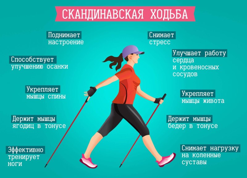Скандинавская ходьба с палками техника ходьбы