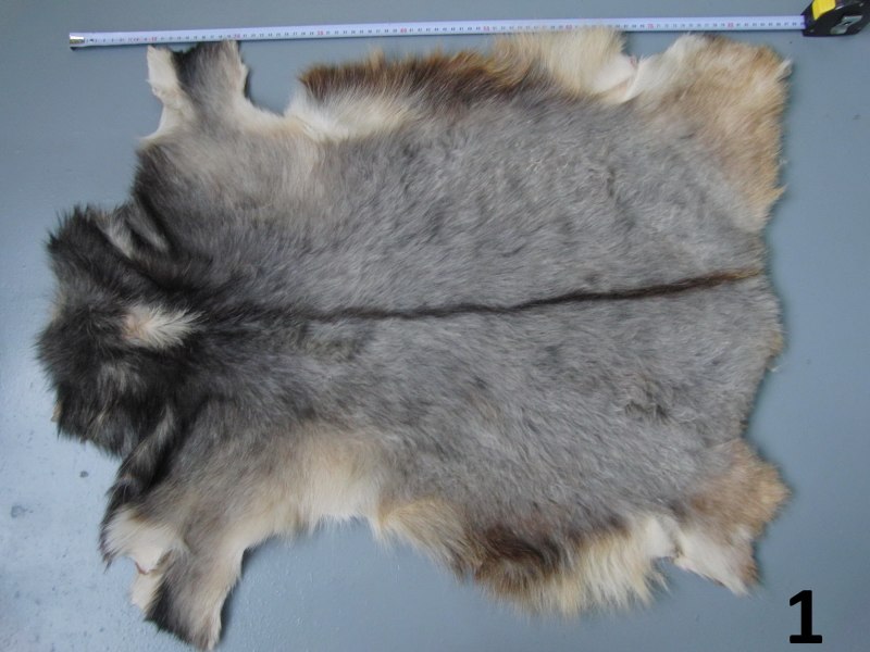 Козья шкура