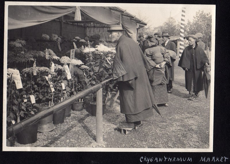 Япония 1914