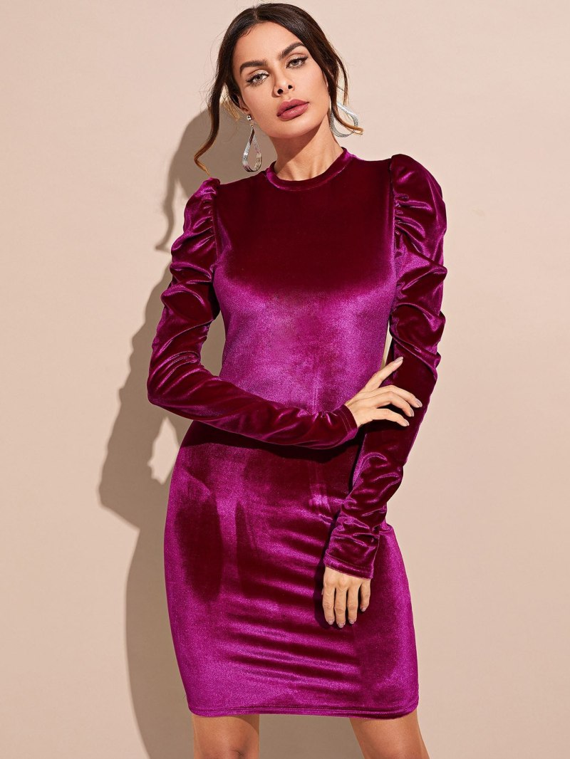 Платтеиз велюра