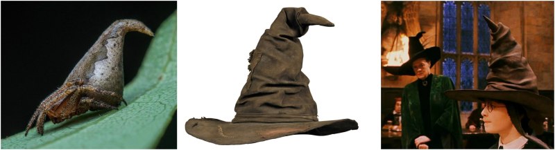 Распределяющая шляпа Harry Potter