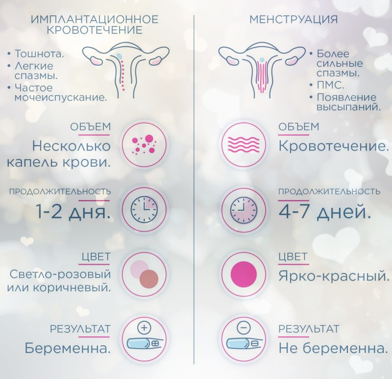 Женские выделения норма по дням цикла