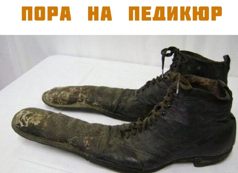 Бархатные тяги кефтеме