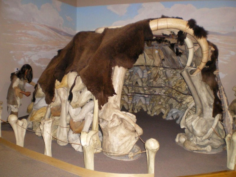 Костенки жилище из Косте
