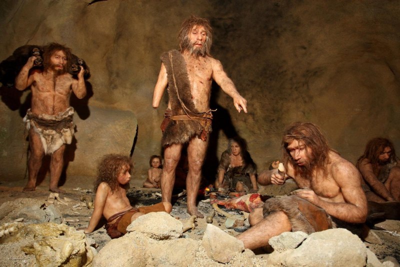 Неандерталец (homo Neanderthalensis)