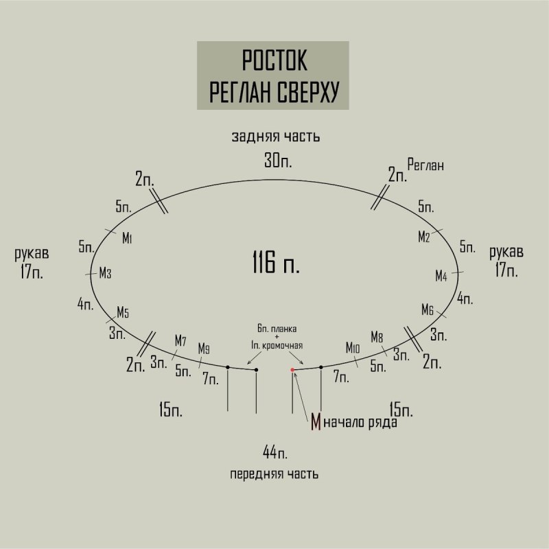 Реглан сверху спицами с ростком