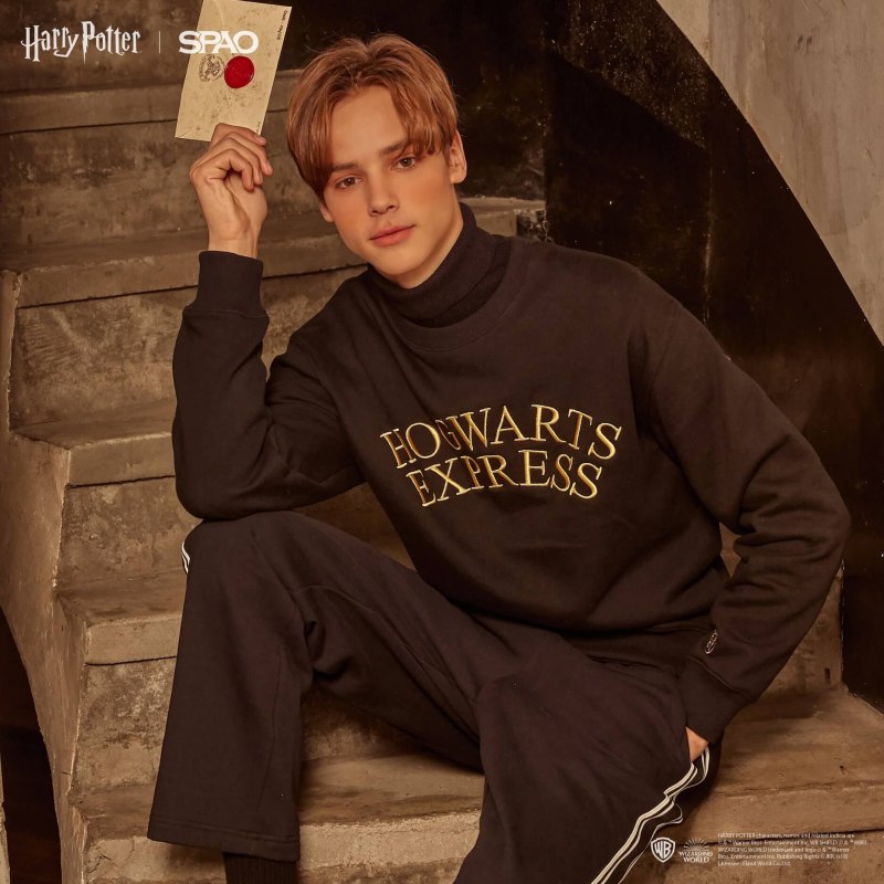 Гарри Поттер SPAO