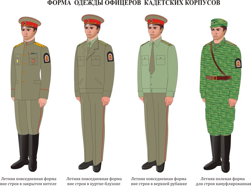 Офицер вс РФ В полевой форме