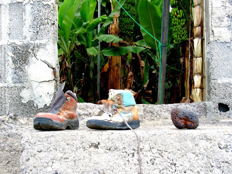 Lost Shoe
