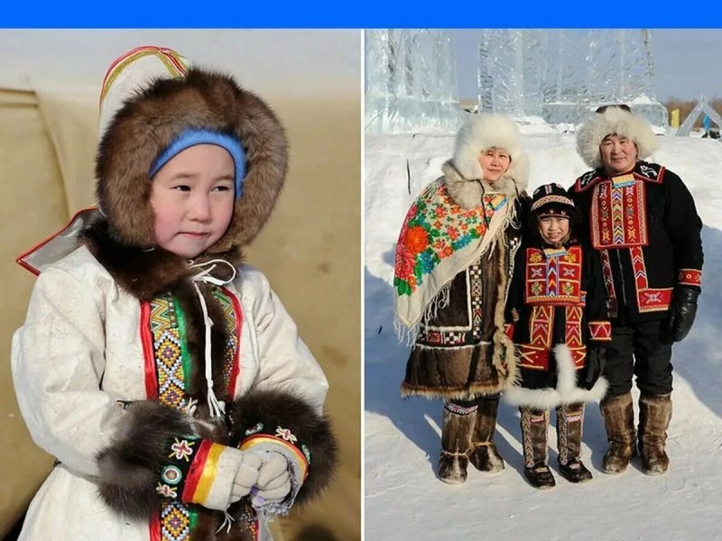 Ненцы, эвенки, нганасаны, Долганы