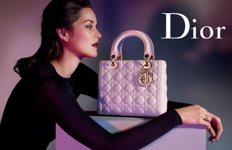 Сумка Christian Dior 2022