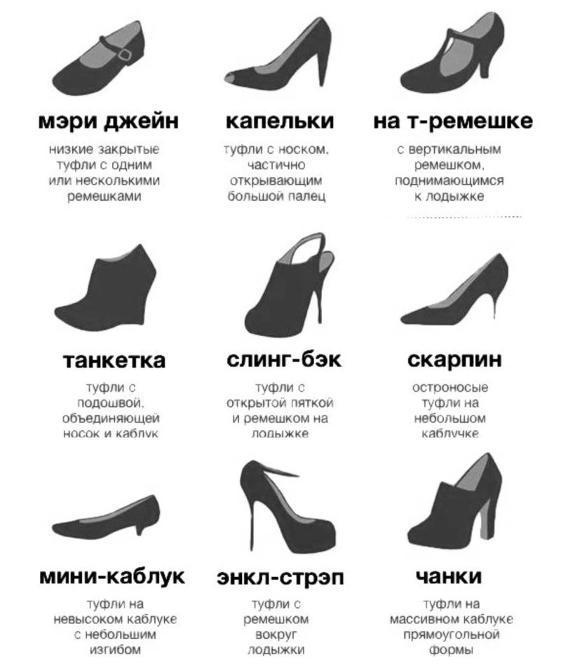Разновидности женской обуви с названиями без каблука