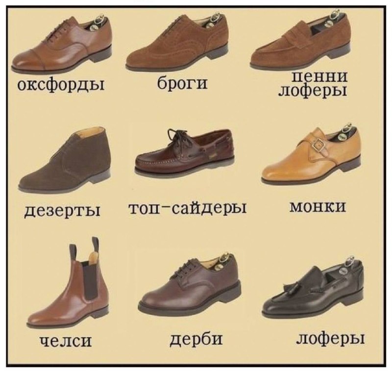 Лоферы Челси оксфорды