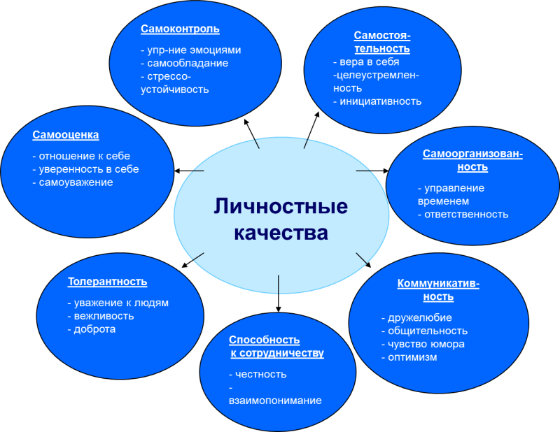 Профессионально значимые качества личности