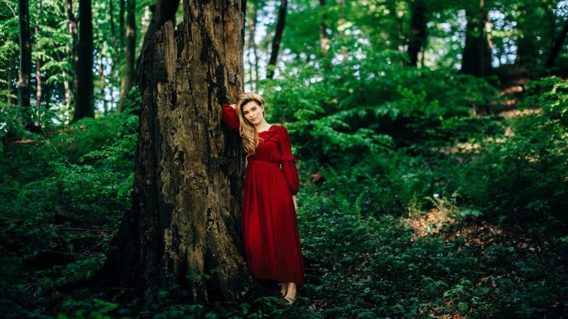 Фотосессия в лесу в Красном платье