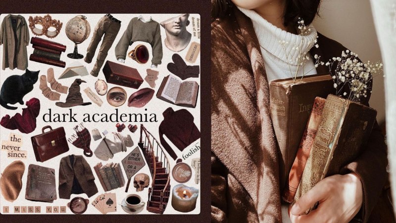 Dark Academia aesthetic одежда