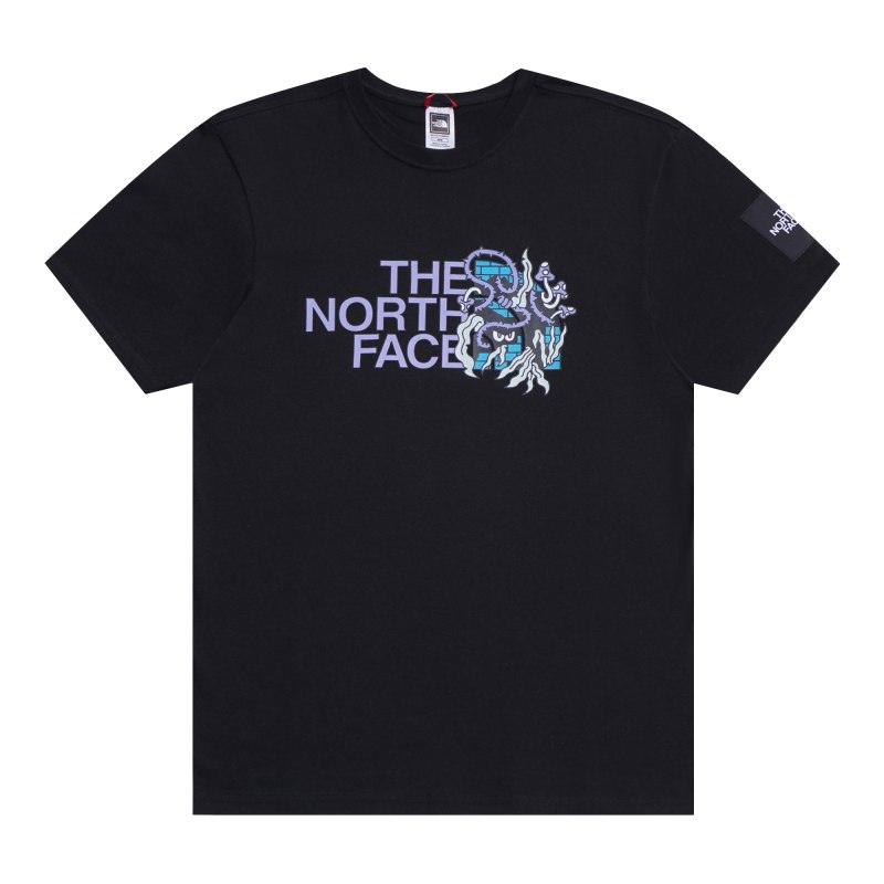 Футболка the North face мужская
