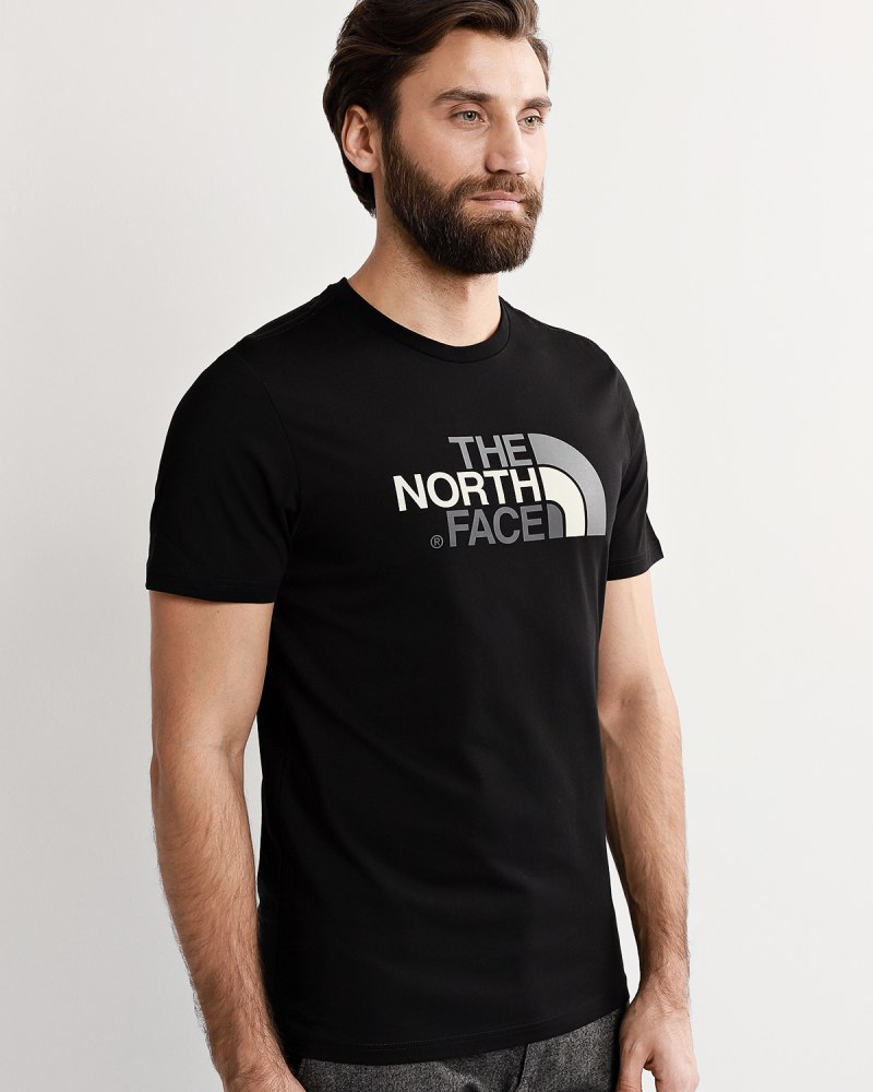 Футболка the North face черный