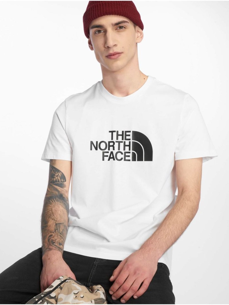 The North face футболка мужская белая
