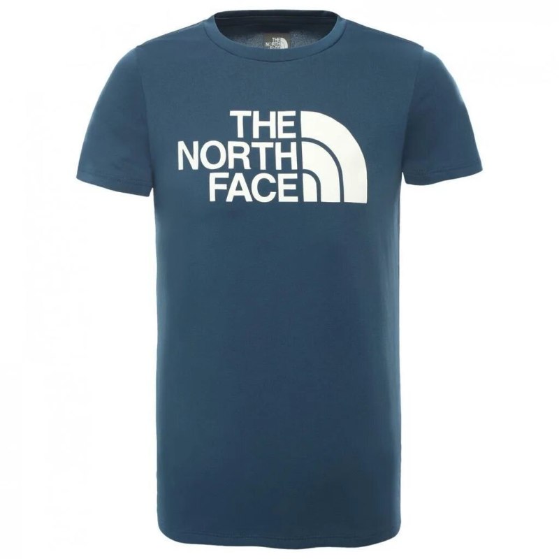 Футболка the North face мужская